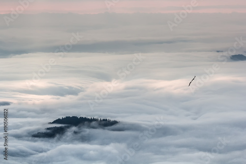 Beautiful mountain landscape of a foggy morning  Ceahlau massif  Eastern Carpathians  Moldova  Romania