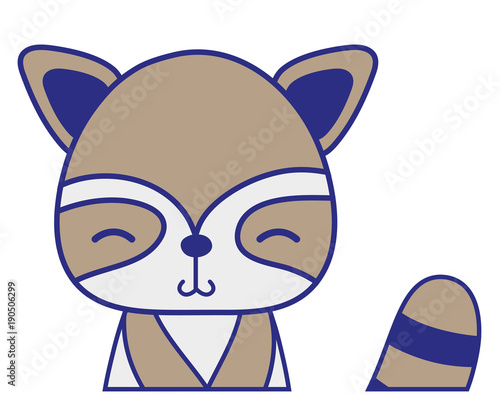 full color adorable and shy raccoon wild animal