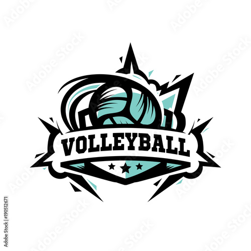 Swoosh Volley Ball Logo