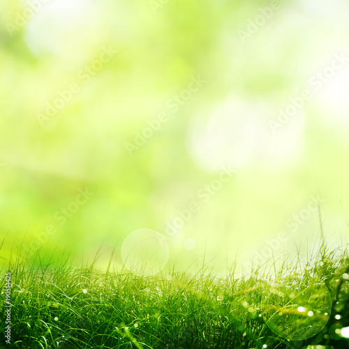 Nature meadow with spring background
