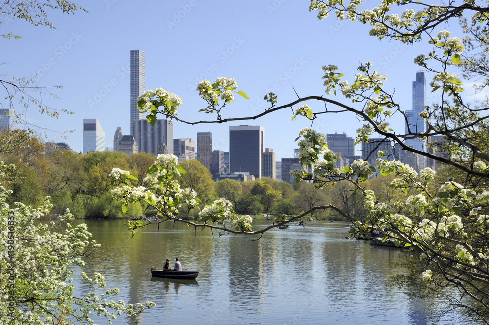 Fototapeta premium Central Park with skyline of Manhattan New York in summer time