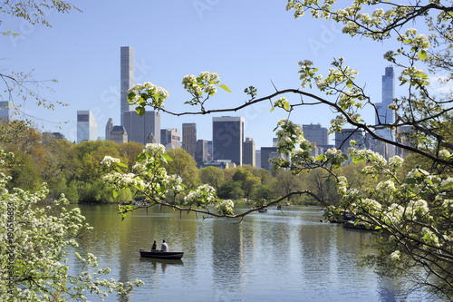 Photography Central Park with skyline of Manhattan New York in summer time
