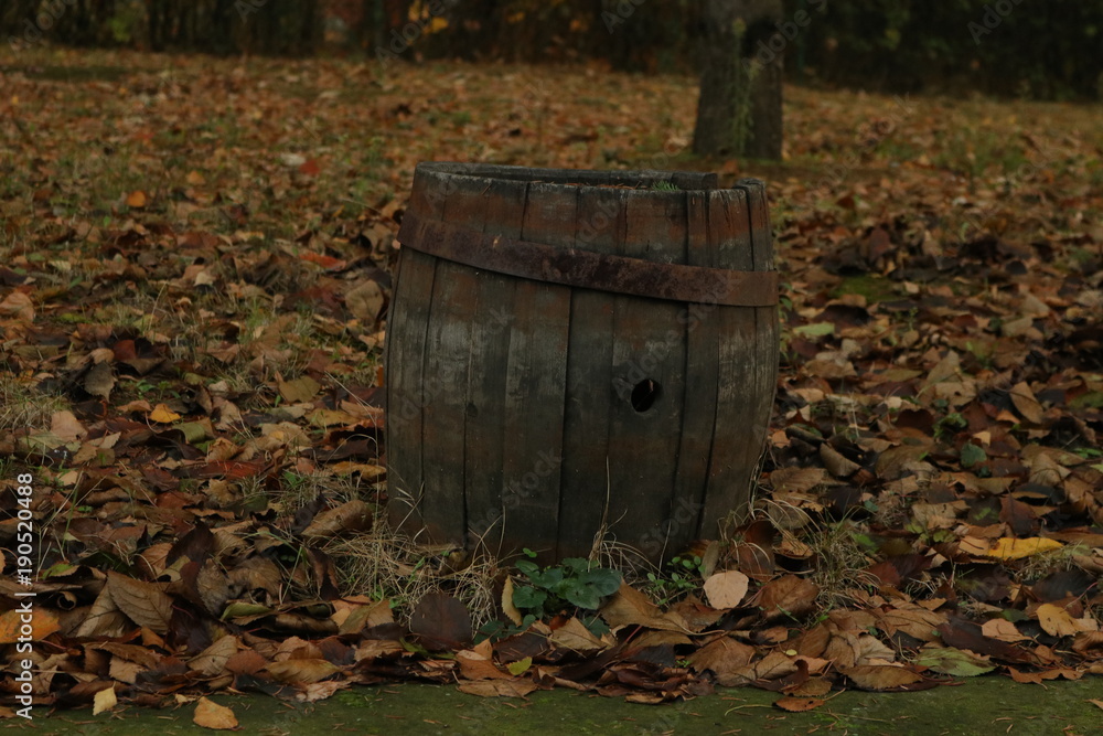Fototapeta premium Barrel in autumn atmosphere