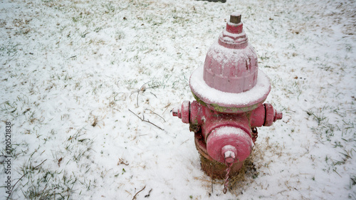 snow covered lonely fire hydrant