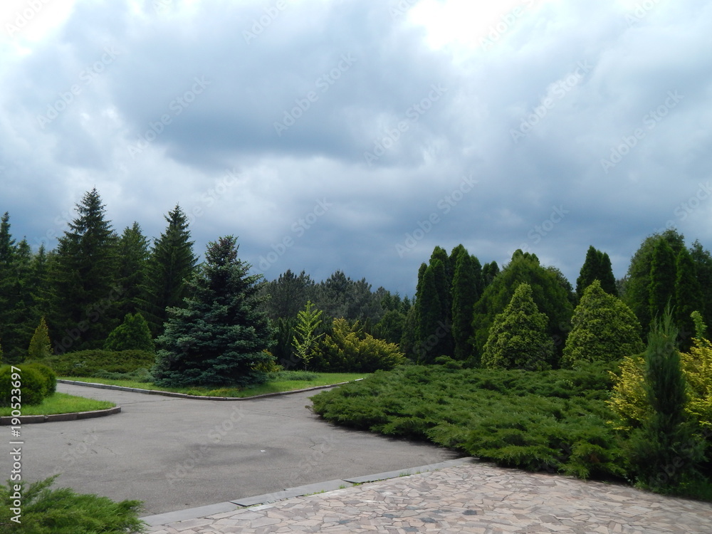 green trees and spruce in the park landscape during the day green trees and spruce in the park landscape during the day