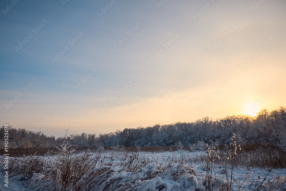 Beautiful winter landscape of snow-covered forest with a clearing.