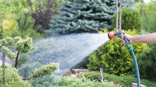 Hand garden hose with water spray, watering flowers, close-up, water splashes, landscape design, alpine slide
