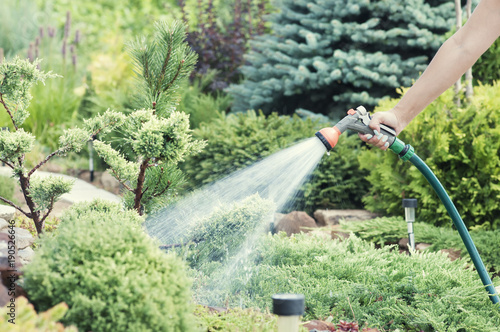 Hand garden hose with water spray, watering flowers, close-up, water splashes, landscape design, alpine slide