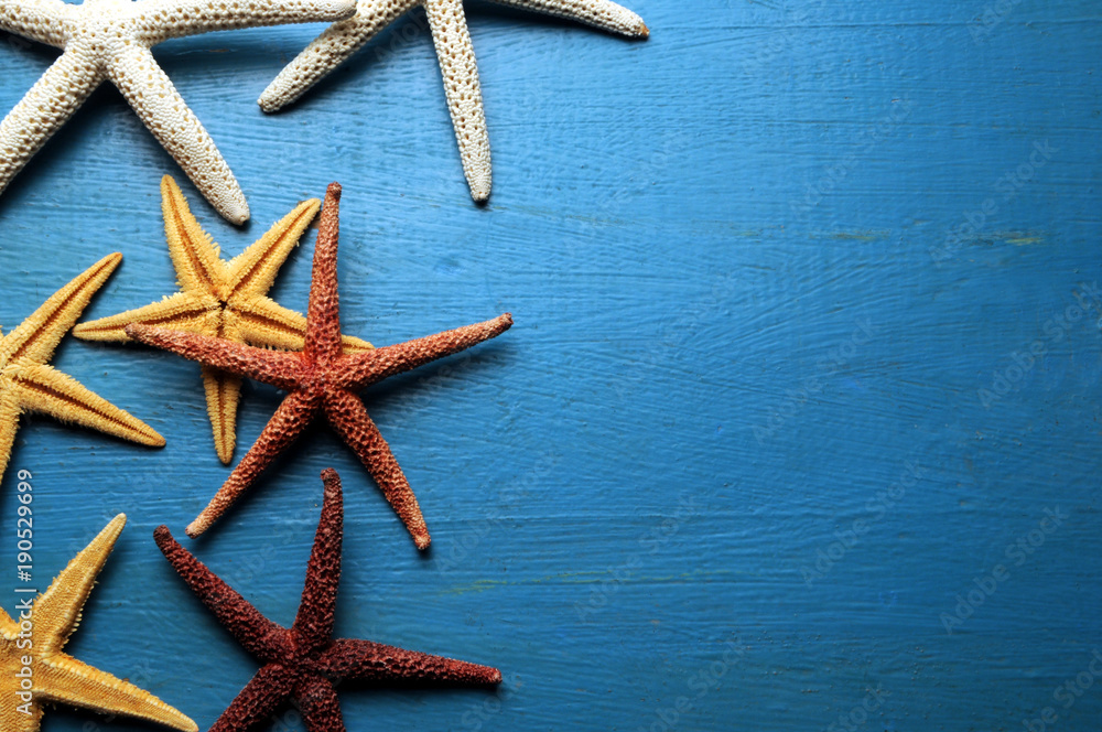 Asteroidea Sao biển Étoile de mer Stelle marine Seesterne Estrellas de mar Starfish Søstjerner Rozgwiazdy Zeesterren Estrela-do-mar Sjöstjärnor Морские звёзды Meritähdet Zvjezdače Asteroidea Sao biển Étoile de mer Stelle marine Seesterne Estrellas de mar Starfish Søstjerner Rozgwiazdy Zeesterren Estrela-do-mar Sjöstjärnor Морские звёзды Meritähdet Zvjezdače
