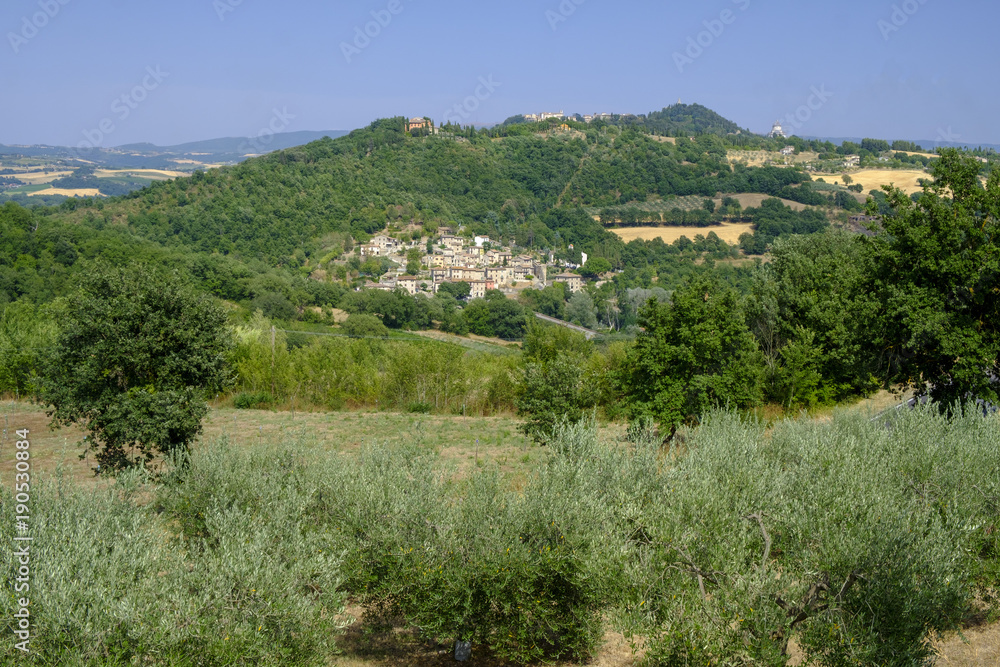 Country landscape from Orvieto to Todi, Umbria, Italy