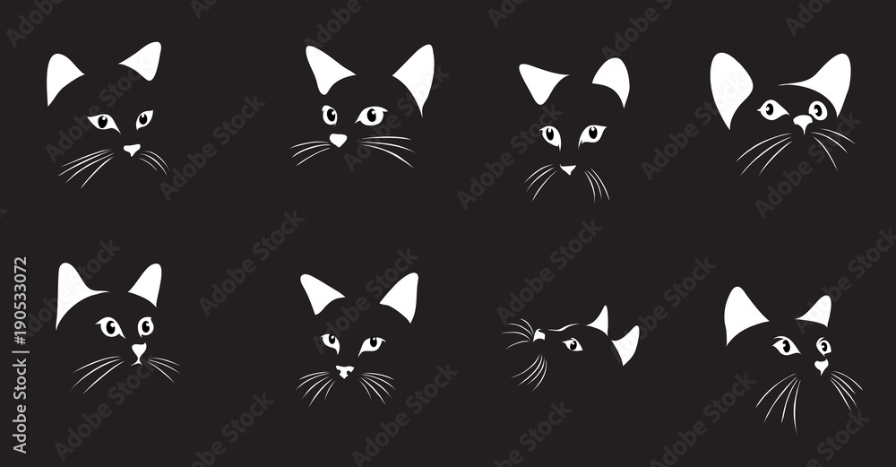 cat, portrait, graphic image, black, portraits of cats
