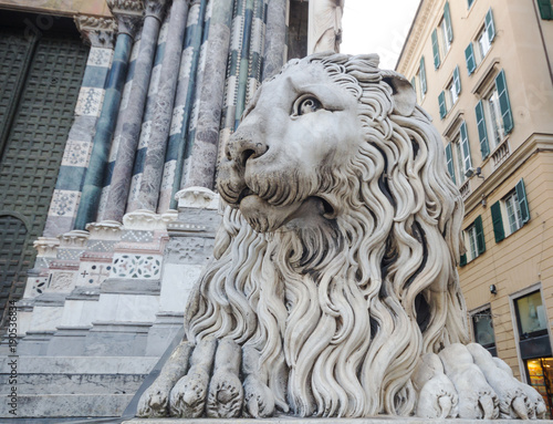 Statue of lion outside the church or cathedral the place is famous in the city center in Genoa Italy, Cattedrale di San Lorenzo