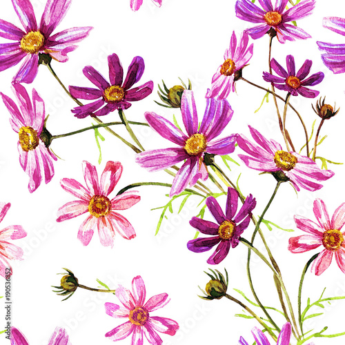 Seamless background pattern of flowers of cosmos.