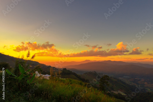 Clump of grass with sunset background,Mountain mist and sunrise in winter
