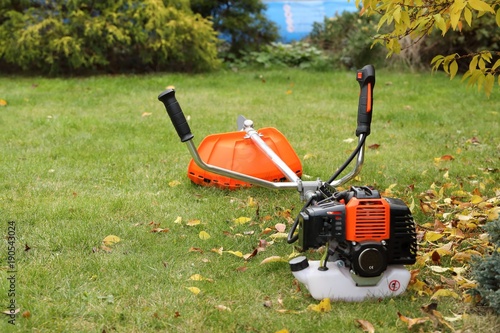 Foto Brush cutter with leaf in decoration autumn garden