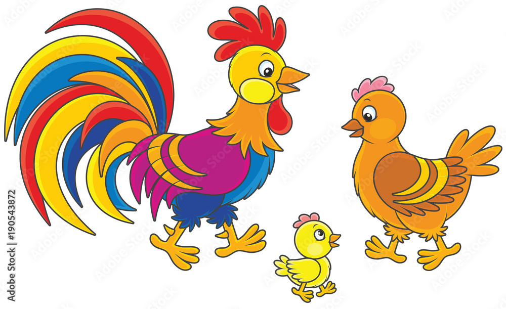 Funny family of a brightly colored rooster, a cute hen and a little chick