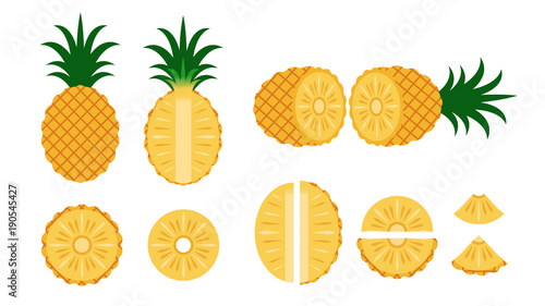 Set of pineapple isolated on white background - Vector illustration