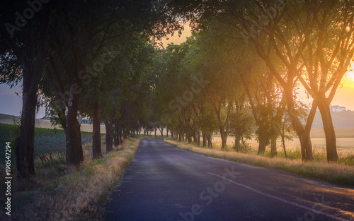 Country road on sunset time near Pannonhalma  Hungary