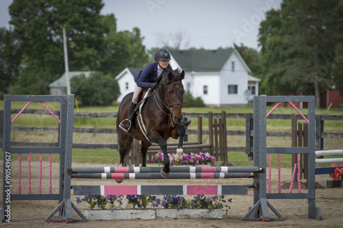 Rider and gelding over pink and grey oxer