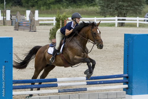 Woman and bay gelding over a vertical brick wall