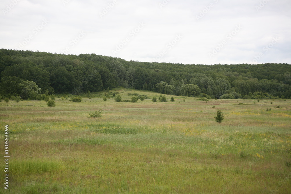 Obraz premium лысая гора