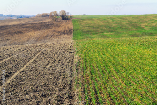 Two spring fields - cultiveted and with young crops.