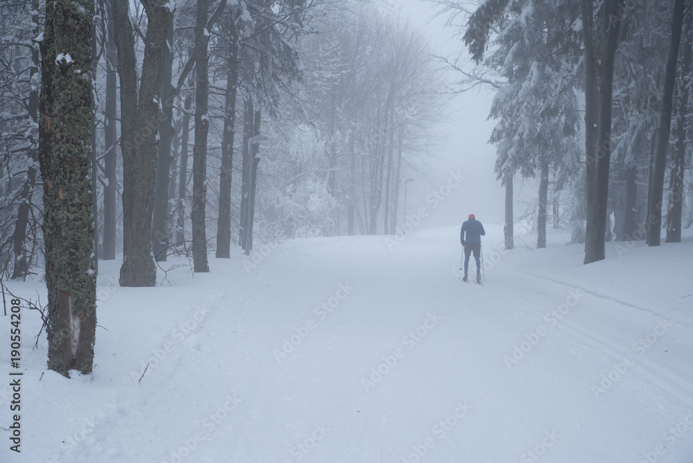 Man silhouette on nordic ski. Man silhouette on nordic ski.