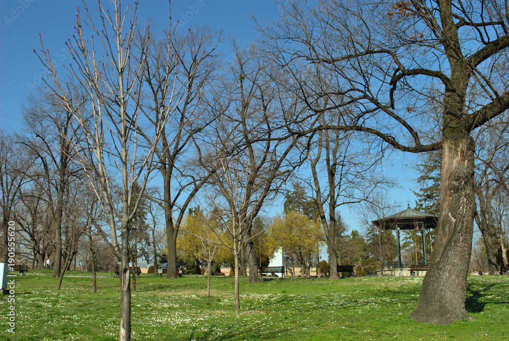 Obraz premium Kalemegdan - Belgrade