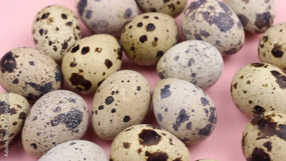 Quail easter eggs on pastel pink background. Quail easter eggs on pastel pink background.