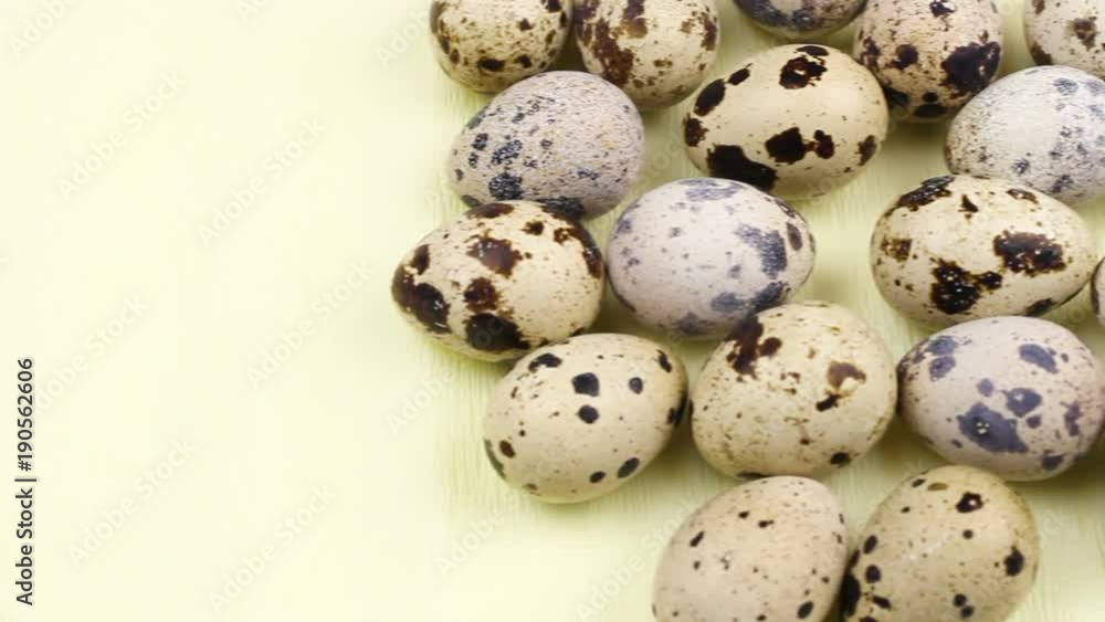 Quail easter eggs on pastel yellow surface in minimalism style close up. Quail easter eggs on pastel yellow surface in minimalism style close up.