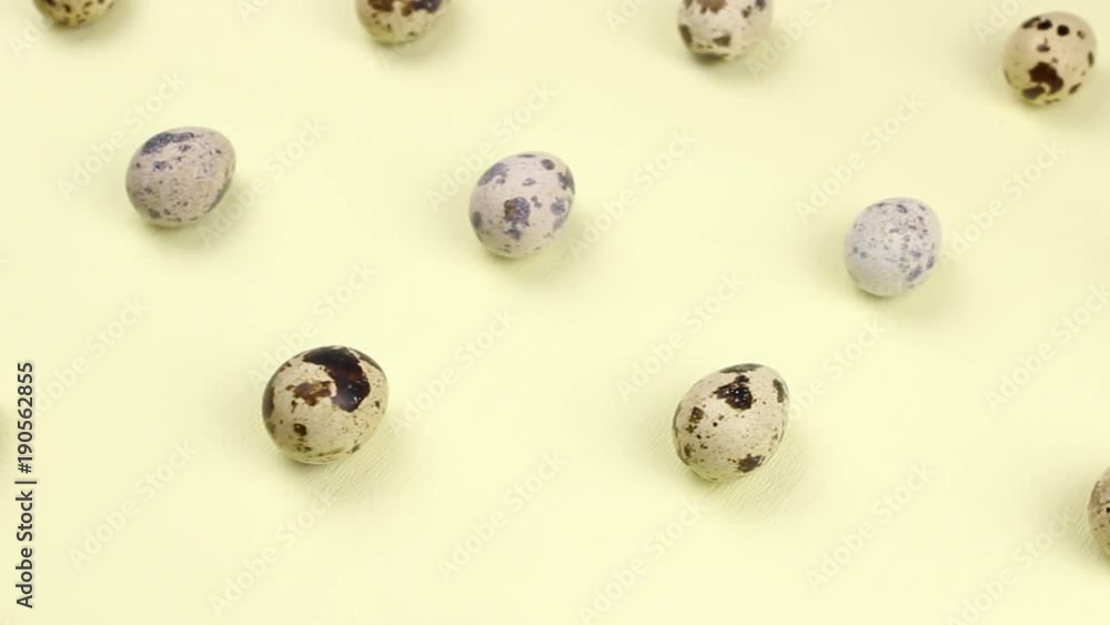 Quail easter eggs on pastel yellow surface in minimalism style close up. Quail easter eggs on pastel yellow surface in minimalism style close up.