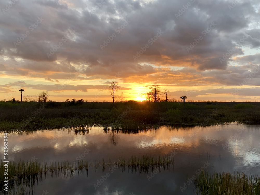 sunset in the swamps