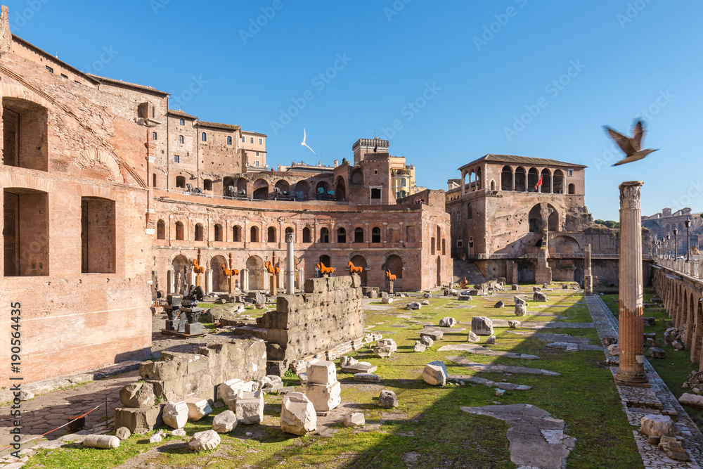 Trajan forum on fly