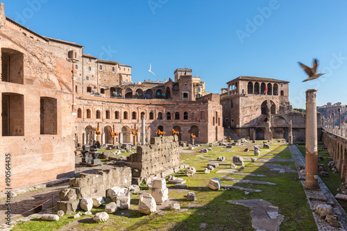 Trajan forum on fly