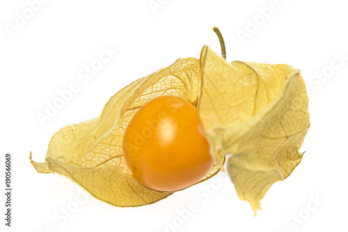  Physalis fruit ( Physalis peruviana) isolated on a white background