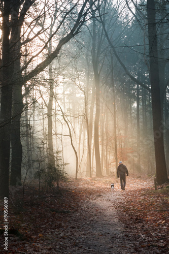Man with a dog are illuminated in the forest by the sunbeams of the rising sun, the rays magically shine through the damp early fog.