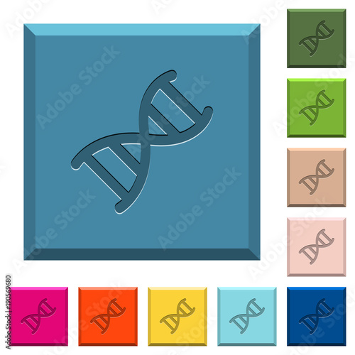 DNA molecule engraved icons on edged square buttons