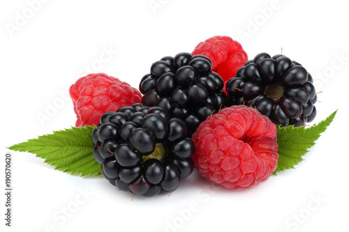 Canvas Print blackberries with raspberries and green leaf isolated on white background