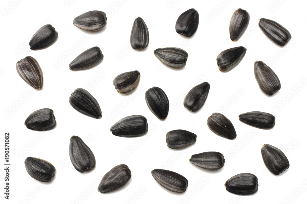 sunflower seeds isolated on white background. top view sunflower seeds isolated on white background. top view