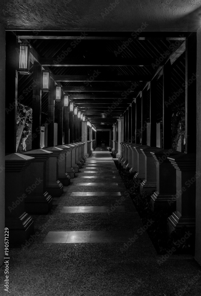 Black and White dark hallway
