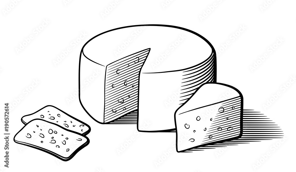cheese wheel illustration