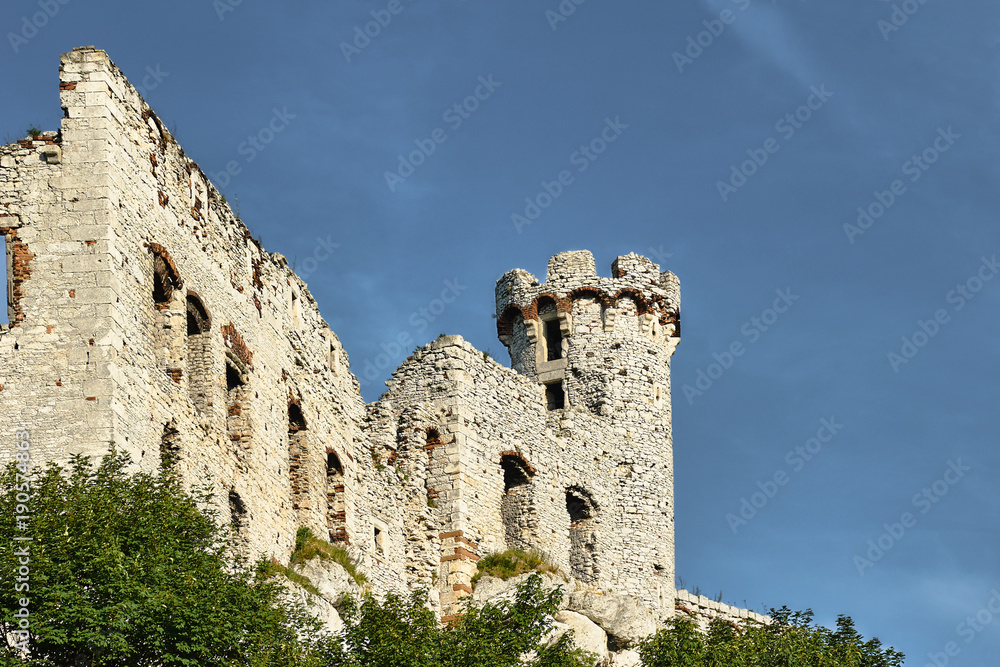 Ruined medieval castle with tower in Ogrodzieniec, Poland.
