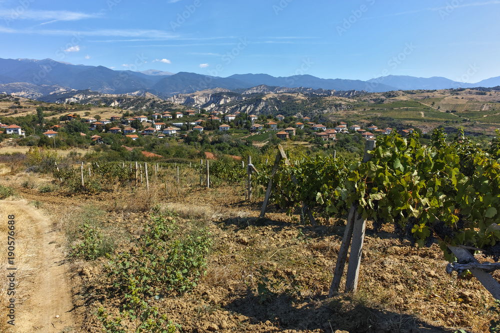 Panoramic view of Lozenitsa Village and Vine plantations near Melnik town, Blagoevgrad region, Bulgaria Panoramic view of Lozenitsa Village and Vine plantations near Melnik town, Blagoevgrad region, Bulgaria