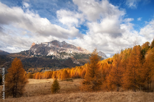 colorful autumn trees and mountain peaks with snow. Dolomites Alps, Italy