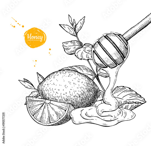 Honey with lemon and mint vector drawing. Wooden spoon, honey dr
