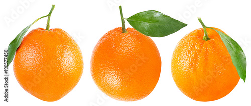 Collection three whole orange on white