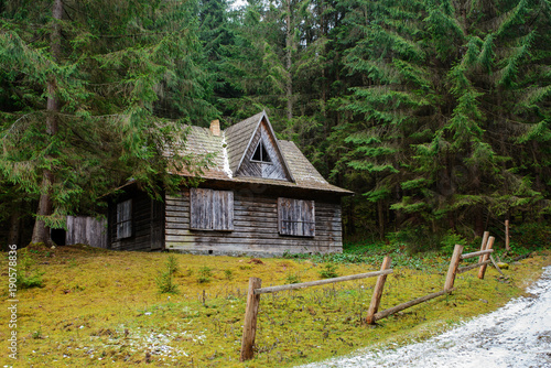 View on the carpathian pinewood house