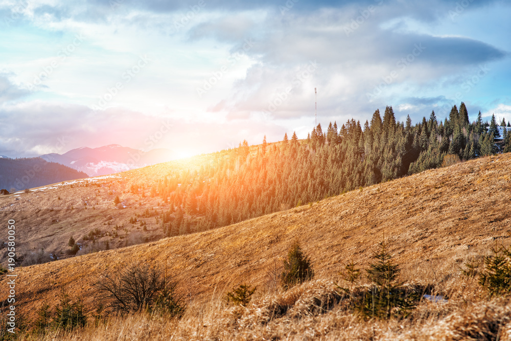 Fototapeta premium Scenic winter view on top of the Carpathian mountain
