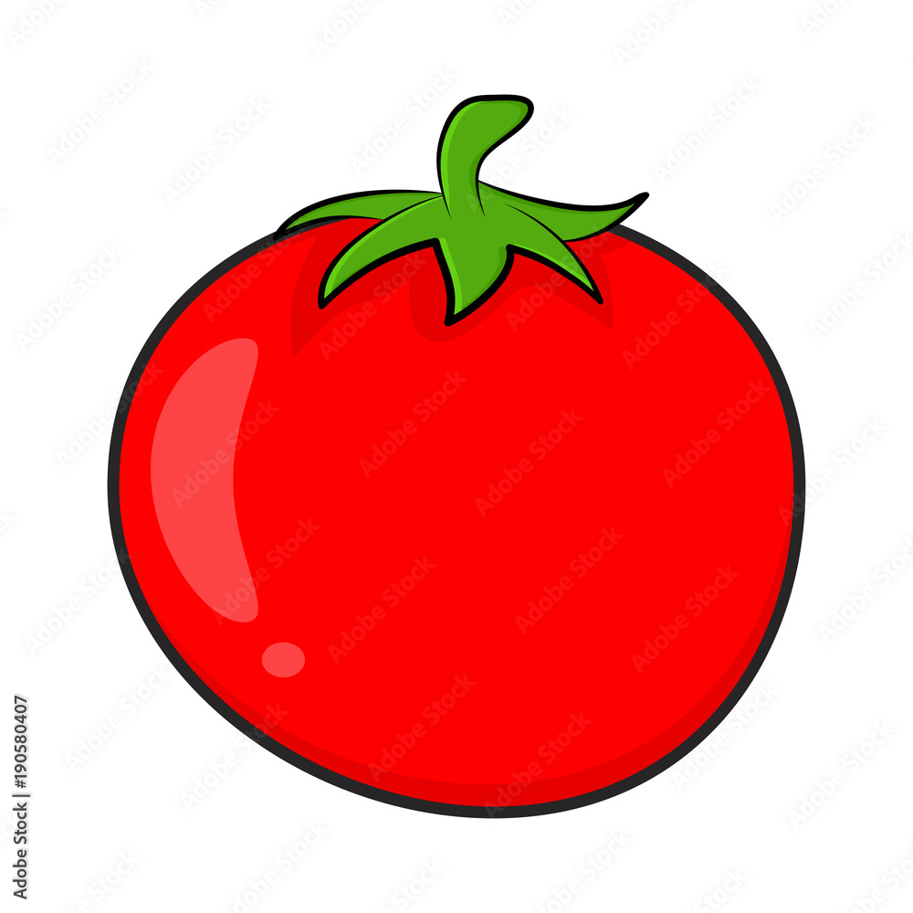 cartoon simple tomato isolated on white background Stock Vector | Adobe
