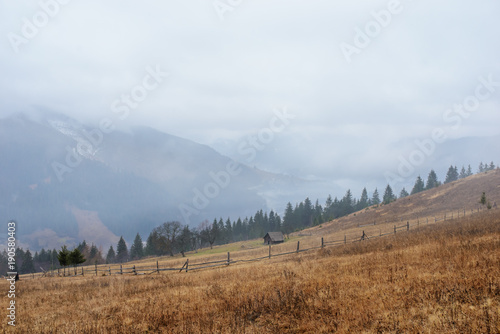 Beautiful view with morning fog in early spring, in Carpathian mountains, in Transylvania, Romania photo